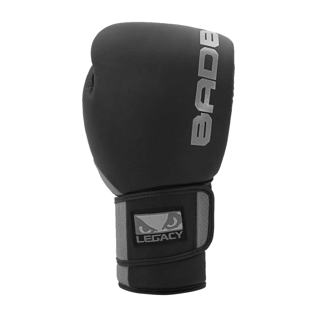 Bad boy legacy deals 2.0 boxing gloves